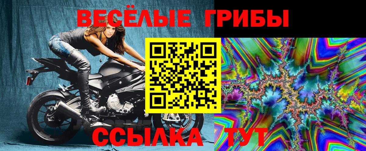Псилоцибиновые грибы GOLDEN TEACHER  Галлюциногенные грибы прущие грибы  Алейск  где можно купить наркотик  Вход с VPN 